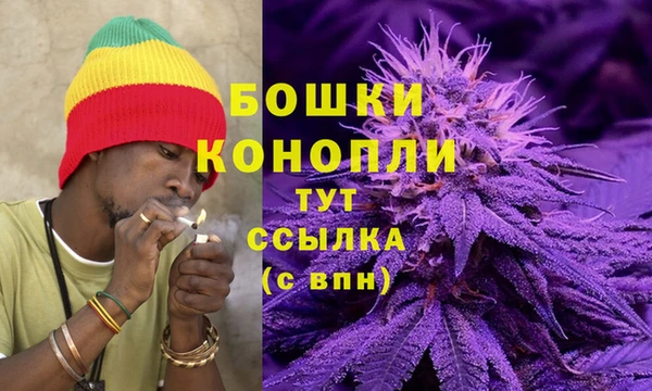 mdpv Магас